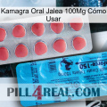 Kamagra Oral Jalea 100Mg Cómo Usar new14